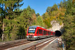 648 302 als RB 58524 (Neuhaus (Pegnitz) - Nürnberg Hbf) bei Velden, 14.10.2019