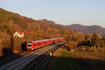 612 061 DB Regio als RE 5288/3088 (Cheb / Hof Hbf - Nürnberg Hbf) bei Hersbruck r.