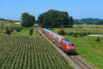 Zwischen Schwindegg und Weidenbach eilte am 29. August 2024 die 218 401 mit ihrer RB 27027 nach Mühldorf. Die von Krupp in Essen gebaute Maschine arbeitete zum Aufnahmezeitpunkt bereits im 49. Betriebsjahr, zählt aber zu den gepflegtesten Exemplaren im Bestand der Südostbayernbahn.  