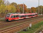 442 128 mit RB 22 nach Potsdam Griebnitzsee am 13. November 2020 bei Diedersdorf.