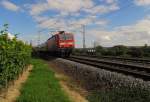 DB 143 906-6 mit dem RE 15414 von Frankfurt (M) Hbf nach Koblenz Hbf, bei Erbach (Rheingau); 17.09.2010