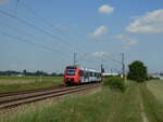 622 538 der DB Regio kurz hinter Bobenheim.
