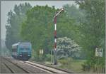 RE11017 mit 245 211-8 nach Hamburg-Altona in Langenhorn(Schleswig)(21.05.2019)