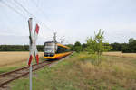 AVG 389 // Aufgenommen an der KIT-Anschlussbahn in Linkenheim-Hochstetten.