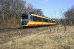 AVG 949 + 943 Rastatt 23.02.22