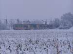 Zugverband an der Haltestelle Grenzstrae in Linkenheim-Hochstetten am 20.02.2005