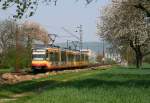 AVG 919 und 914 als S41 nach Karlsruhe Hbf  bei Muggensturm 15.4.09