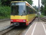 Tw 501 und der vordere Tw 570 (Ich nenne ihn liebevoll Albtal-ICE, weil er von der Lackierung so aussieht) am 03.06.2010 als S1 nach Bad Herrenalb. Sie sind gerade bei der Ausfahrt von Frauenalb-Schielberg.