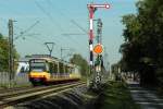 Wagen 881  KVV-Quattro  und Wagen 8** als S31 Eilzug nach Freudenstadt am 16.09.2011 bei Forchheim.