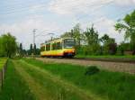 Hinter dem Abzweig Karlsruhe Brunnenstück war am 25.04.2014 Tw 868 der AVG als S 85082 (RK - RRA) anzutreffen.