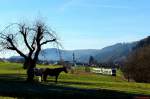 Zwei Regio-Shuttle der Breisgau-S-Bahn sind am 31.12.2013 zwischen Oberwinden und Elzach unterwegs