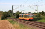 450 887 als S4 Eppingen- Öhringen-Cappel am 25.07.2020 zwischen Bitzfeld und Öhringen West. 