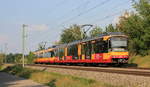 450 836+865  Experimenta  als S4 Schwaigern West - Öhringen-Cappel am 22.09.2020 bei Scheppach.