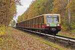 S-Bahn Berlin S 47 (BR 485) in Richtung Spindlersfeld kurz vor dem Bahnübergang an der Ostritzer Strasse (nahe dem Bruno Bürgel Weg) Ende 2023 (letzter Einsatztag). 