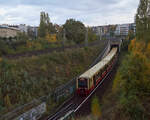 484 072 führte am 08.11.2023 einen Dreiviertelzug der Berliner S-Bahn auf der Linie S85 von Grünau nach Pankow. Zwischen den Bahnhöfen Schönhauser Allee und Bornholmer Straße durchfährt der Zug das umfangreiche Abzweigbauwerk zwischen der Ringbahn und der Nord- bzw. der Stettiner Bahn.