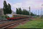 Zwei BR 481 der S-Bahn Berlin als S7 von Ahrensfelde (S) erreichen ihren Endbahnhof Potsdam Hbf auf Gleis 6.