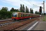 Zwei BR 481 der S-Bahn Berlin als S7 von Ahrensfelde (S) erreichen ihren Endbahnhof Potsdam Hbf auf Gleis 7.
[30.5.2018 | 18:58 Uhr]