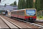 Nachschuss auf zwei BR 481 der S-Bahn Berlin als S7 von Ahrensfelde (S), die ihren Endbahnhof Potsdam Hbf auf Gleis 7 erreichen.