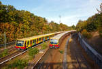 
Der eine kommt der andere geht...
Zugbegegnung zweier Ganzzüge der BR 481/482 der S-Bahn Berlin (als Linie 5) am 18.09.2018 bei der Station Berlin Messe Süd (Eichkamp). 

Ein Ganzzug besteht jeweils aus vier Viertelzüge der Baureihe 481 und 482. Diese Baureihe der S-Bahn Berlin ist z.Z. noch jüngste Baureihe der S-Bahn Berlin und zugleich die derzeit meistgenutzte. Bereits 1990 setzten sich Vertreter der Berliner Verkehrsbetriebe und der Deutschen Reichsbahn (die damaligen Betreiber der getrennten Berliner S-Bahn-Netze) zusammen, um die Anforderungen für eine neue Baureihe zu entwickeln. 1993 wurde das erste Vorführmodell der Öffentlichkeit vorgestellt.

Die Fahrzeuge sollten den modernen Ansprüchen gerecht werden. Je zwei Triebwagen – einer mit Führerstand (BR 481), der andere ohne (BR 482) – sind durch einen Übergang miteinander verbunden. Somit ist die kleinste betriebliche Einheit ist ein Halbzug bestehend aus zwei Viertelzügen, sprich vier Wagen.

Durch den Einsatz von Zügen mit moderner Bremsenergierückspeisung (wie der BR 481) kann im Gesamtnetz eine durchschnittliche Stromersparnis von 30 Prozent gegenüber den klotzgebremsten Vorkriegszügen erreicht werden. Angetrieben werden drei von vier Drehgestellen eines Viertelzuges.


TECHNISCHE DATEN BR 481/482 (zweiteilig bzw. Viertelzug):
Hersteller Vorserie (1996): Deutsche Waggonbau AG (DWA)  / AEG, bis 2000 DWA / Adtranz und ab 2001 Bombardier
Baujahre: 1996 bis 2004
Gebaute Stückzahl: 500 Viertelzüge (2000 Wagen)
Spurweite: 1.435 mm (Normalspur)
Achsformel: Bo’Bo’ +Bo'2'
Länge über Puffer: 35.800 mm
Fahrzeugbreite: 3.140 mm
Fahrzeughöhe: 3.585 mm 
Drehzapfenabstand: 12.100 mm
Achsabstand im Drehgestell: 2.200 mm
Fußbodenhöhe: 1.000 mm (durchgängig) 
Leergewicht: 59 t
Sitzplätze: 94 
Stehplätze (2 Pers./m²):  200
Trieb- und Laufraddurchmesser:  820 mm (neu) / 760 mm abgenutzt
Leistung: 6 x 100 kW = 600 kW
Motorentyp: 6 Stück Drehstrom-Asynchron-Motor DKABZ 2806-4B
Höchstgeschwindigkeit: 100 km/h (z. Zt. durch das Eisenbahn-Bundesamt auf 80 km/h heruntergesetzt)
Max. Beschleunigung: 1,0 m/s² 
Max. Bremsverzögerung: 1,3 m/s²
Speisespannung: 750 V DC (seitliche über Stromschiene)
