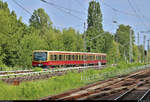 Zwei 481 der S-Bahn Berlin als S75 von Berlin Ostbahnhof (S) nach Berlin-Wartenberg erreichen den Bahnhof Berlin-Hohenschönhausen (S) auf dem Berliner Außenring (BAR | 6012).