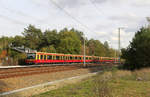 DB (S-Bahn Berlin) 481 xxx // Berlin-Friedrichshagen // 25. Oktober 2019
