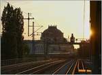 Pünktlich wie die Eisenbahn! - Mit diesem Stimmungsbild von der Berlin Stadtbahn möchte ich der Berliner S-Bahn zu ihrem exzellenten Pünktlichkeitswert von 96.1 Prozent vom letzten Jahr