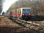 Vorletzter Tag der S-Bahn Berlin S 47 mit der BR 485 in Richtung Spindlersfelde kurz vor dem Bahnübergang an der Ostritzer Strasse (nahe dem Bruno Bürgel Weg) am 30.