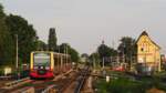 Ein Zug der BR 483/484, gezogen von 483 004, fährt als S47 von Spindlersfeld nach Schöneweide ein, während ihr die Sonne beim untergehen noch entgegenstrahlt.

Berlin, der 28. Juni 2021.