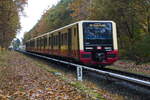 S Bahn Berlin 484 043 D als S 47 in Richtung Berlin Spindlersfeld am 12. November 2013 am Bahnübergang nahe der Ostritzer Strasse (nahe dem Bruno Bürgel Weg).