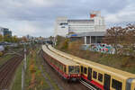 Ein unbekannter Dreiviertelzug der BR 485 auf der S85 begegnet seinem Nachfolger auf der Berliner Ringbahn zwischen den Stationen Landsberger Allee und Storkower Straße (11.11.2023)