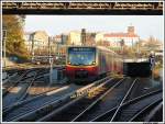 Br 481 mit der S42  Ringlinie kurz vor der Einfahrt in den Bahnhof Berlin Gesundbrunnen.