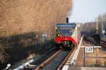 BERLIN, 31.03.2009, S8 nach Hohen Neuendorf bei der Einfahrt in den S-Bahnhof Plänterwald