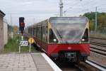 BERLIN, 10.10.2009, S-8 nach Hohen Neuendorf bei der Einfahrt vom Abstellgleis im S-Bahnhof Blankenburg; aufgrund der chaotischen Zustände bei der S-Bahn verkehrt die S8 z.Z.