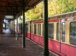 Herbstfarben, S-Bahn-Farben und Sonne - ein schnes Zusammenspiel am 25.10.2009 in Karlshorst.