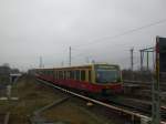 BR 481 als S25 nach S-Bahnhof Hennigsdorf am S-Bahnhof Berlin Bornholmer Strae.