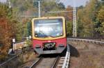 ORANIENBURG (Landkreis Oberhavel), 23.10.2010, S1 nach Zehlendorf bei der Einfahrt in den S-Bahnhof Lehnitz