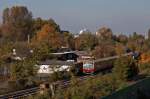 - Die S-Bahn im Stadturwald -   Freie Flchen wollen genutzt sein und wo der Mensch dies nicht tut, nimmt sich die Natur, was ihr zusteht.