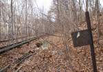 2.12.2012 Berlin Humboldhain. Kilometerstein 1.6 an der ehem. Verbindungskurve S-Bw Nordbahnhof zur Ringbahn. Das Signal im Vordergrund - weies Dreieck auf schwarzem Grund - ist ziemlich wahrscheinlich ein alter Neigungsanzeiger.