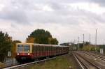 Ein Zug der BR 485 fhrt am 15.10.2013 als S46 ->Westend in den Bahnhof Adlershof ein