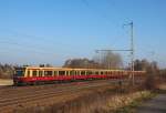 5.2.2014 Zepernick. S2 nach Blankenfelde