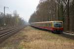 481 502-3 S-Bahn Berlin als S2 (S 2064) von Blankenfelde(Teltow-Fläming) nach Bernau(b Berlin), bei der Einfahrt in den S-Bahn Haltepunkt Röntgental.