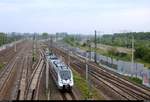 1442 165 (Bombardier Talent 2) der S-Bahn Mitteldeutschland (MDSB II | DB Regio Südost) als S 37710 (S7) von Halle(Saale)Hbf Gl.