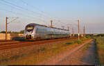 1442 213 (Bombardier Talent 2) verlässt am km 8,8 den Bahnknoten Gröbers.