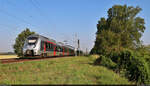 9442 101 und 9442 616 (Bombardier Talent 2) steuern durch die morgendliche Saaleaue zwischen den Halten Angersdorf und Halle Südstadt.