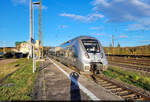 Morgensonne im November ist etwas Seltenes, daher wurde auch gerne mal die S-Bahn mit 1442 203 (Bombardier Talent 2) im Endbahnhof Halle-Nietleben in Szene gesetzt.