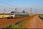 1442 211 (Bombardier Talent 2) ist unterwegs bei Benndorf (Kabelsketal).