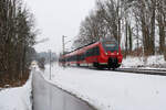 442 235 DB Regio als S3 (Nürnberg Hbf - Neumarkt (Oberpf)) bei Oberferrieden, 17.01.2020