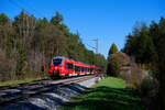 442 222 DB Regio  Stadt Baiersdorf  als S3 39352 (Neumarkt (Oberpf) - Nürnberg Hbf) bei Ochenbruck, 23.04.2021