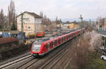 DB Regio 430 190 + 430 186 // Mainz-Kastel // 26. März 2016