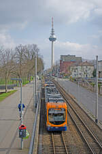 Donnerstag den 07.03.2024 um 13:52 Uhr in Mannheim. Im Hintergrund steht der Mannheimer Fernmeldeturm. Er hat eine Gesamthöhe von 218 Meter. Die Aussichtsplattform (untere Fensterreihe) befindet sich auf 121 Meter. Das Dreh-Restaurant (obere Fensterreihe) befindet sich auf 125 Meter. Der Turm befindet sich beim Luisenpark am Neckar. Der Fernmeldeturm wurde 1975 zur Bundesgartenschau eröffnet. Im Vordergrund fährt soeben die Strassenbahn der Linie 5 aus Heidelberg über den Hauptbahnhof Mannheim in Richtung Weinheim Alter OEG-Bahnhof unter der Friedrich-Ebert-Brücke durch. Allgemeines zur Stadtbahnlinie Nr. 5. Es ist eine Ringbahn der OEG (Oberrheinischen Eisenbahn-Gesellschaft AG) und fährt durch Mannheim, Heidelberg und Weinheim. Sie verbindet von Weinheim/Viernheim aus kommend, von Nord nach Süd die Mannheimer Stadtteile Käfertal, Quadrate, Neuostheim und Seckenheim und von dort aus weiter Richtung Ost nach Edingen und Heidelberg. Die Gegenrichtung wird gleichermassen bedient. Obwohl die Linie mit Strassenbahnfahrzeugen bedient wird, verkehrt sie, sobald sie ausserhalb der Strassenbahnnetze von Heidelberg und Mannheim fährt, als Eisenbahn nach der Eisenbahn- Bau- und Betriebsordnung (für Schmalspurbahnen - ESBO). Die Fahrtzeit für eine vollständige Ringumfahrung beträgt zirka 2 Stunden und 30 Minuten. Insgesamt ist die Strecke zirka 57 Kilometer lang und damit eine der längsten Strassenbahnlinien in Deutschland. Koordinaten GMS (Grad, Minuten, Sekunden): N 49° 29’ 25.4’’ O 8° 28’ 53.3’’